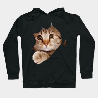 cat lover gifts for cat people Hoodie